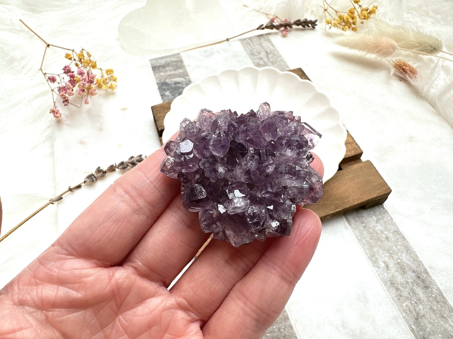 Small Amethyst Cluster