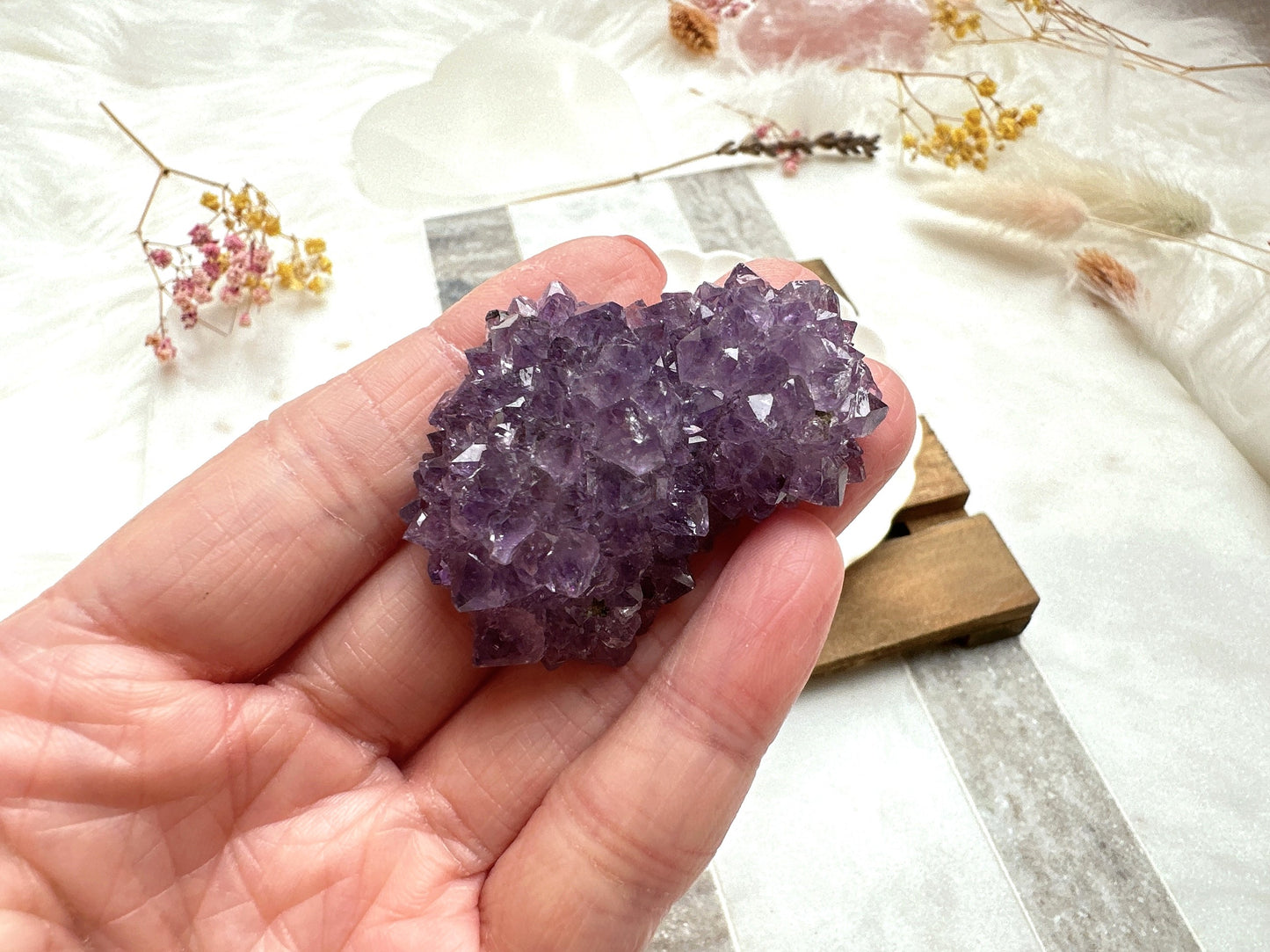 Small Amethyst Cluster