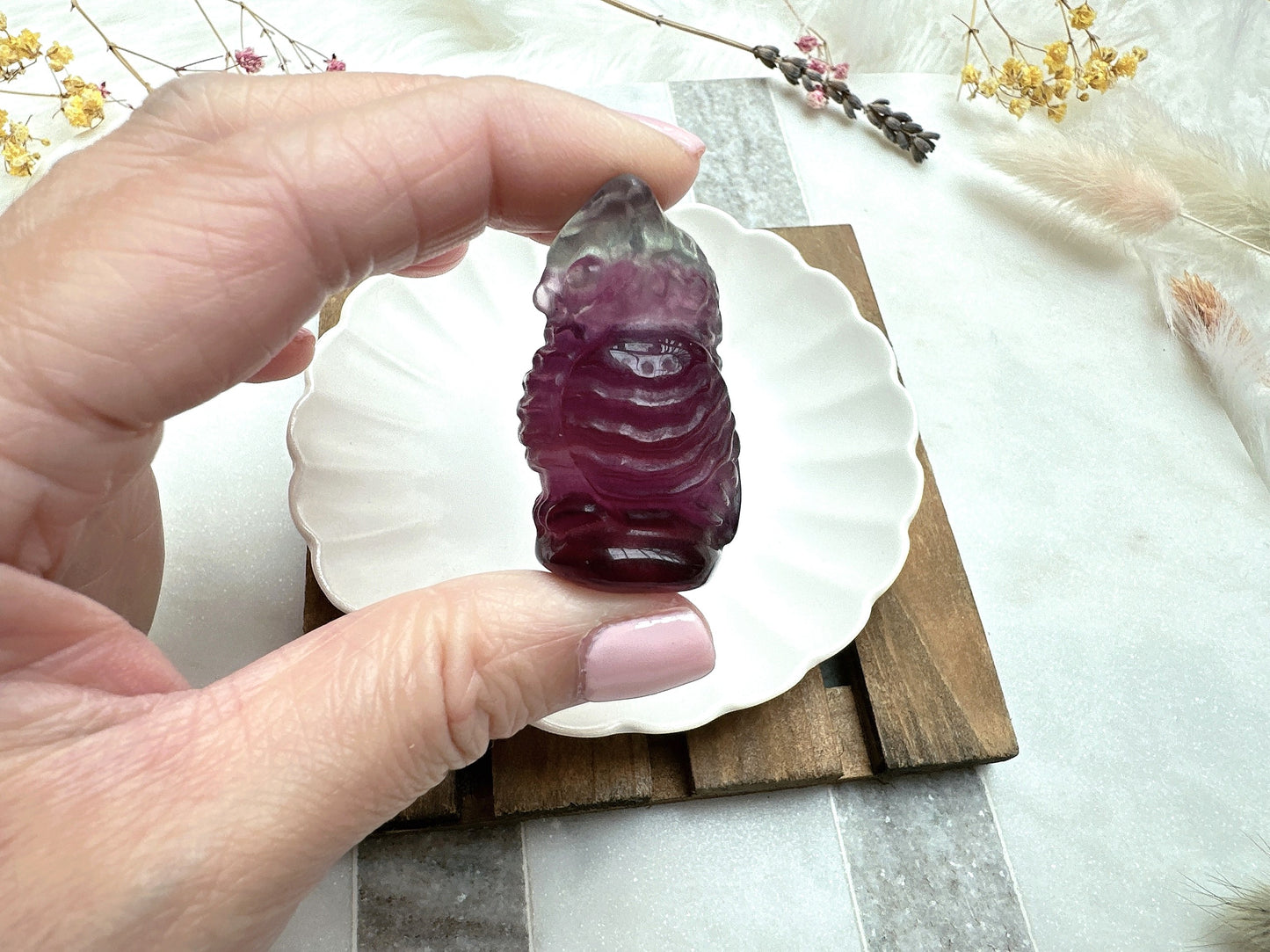 Small Candy Fluorite Owl