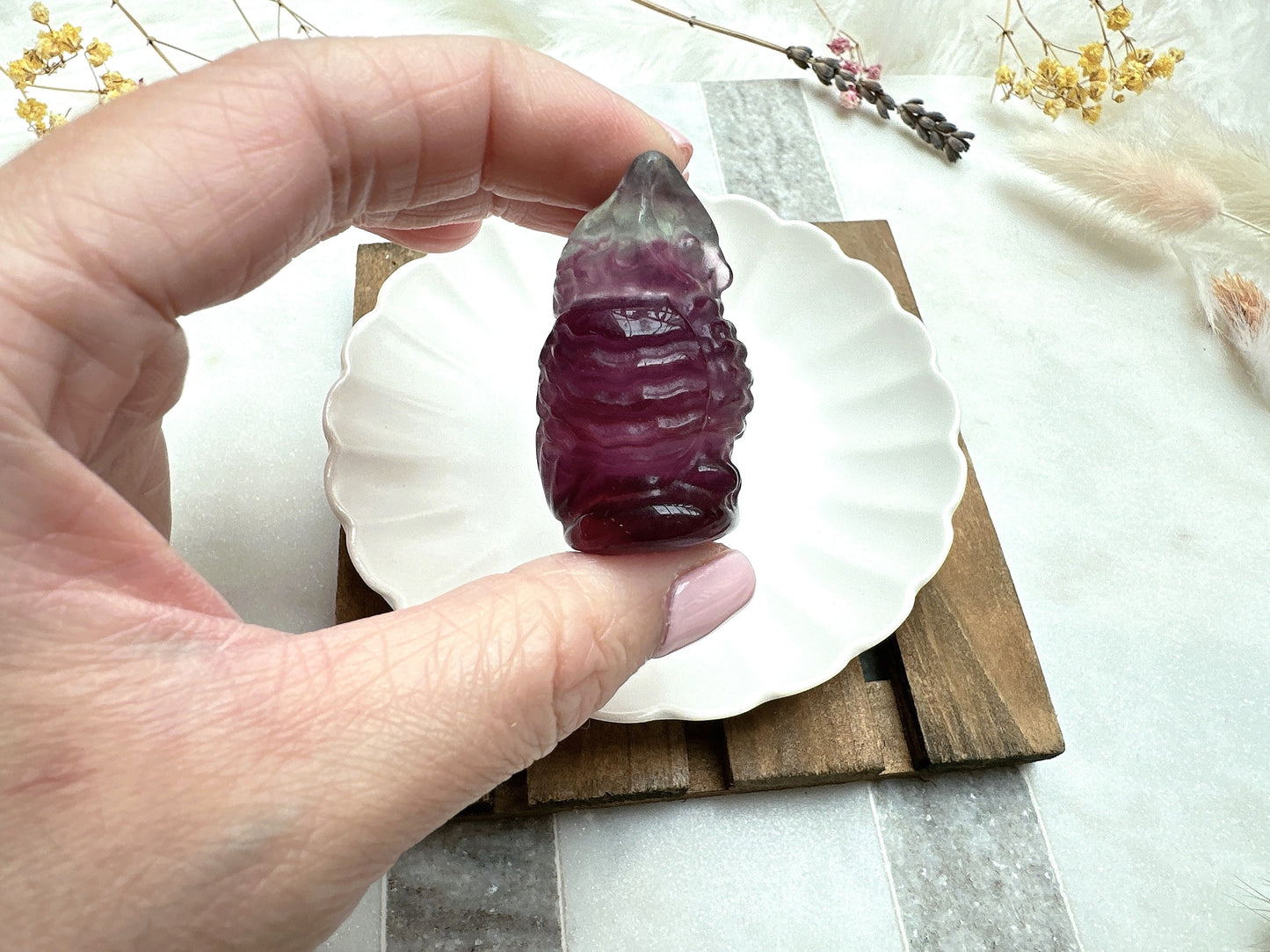 Small Candy Fluorite Owl