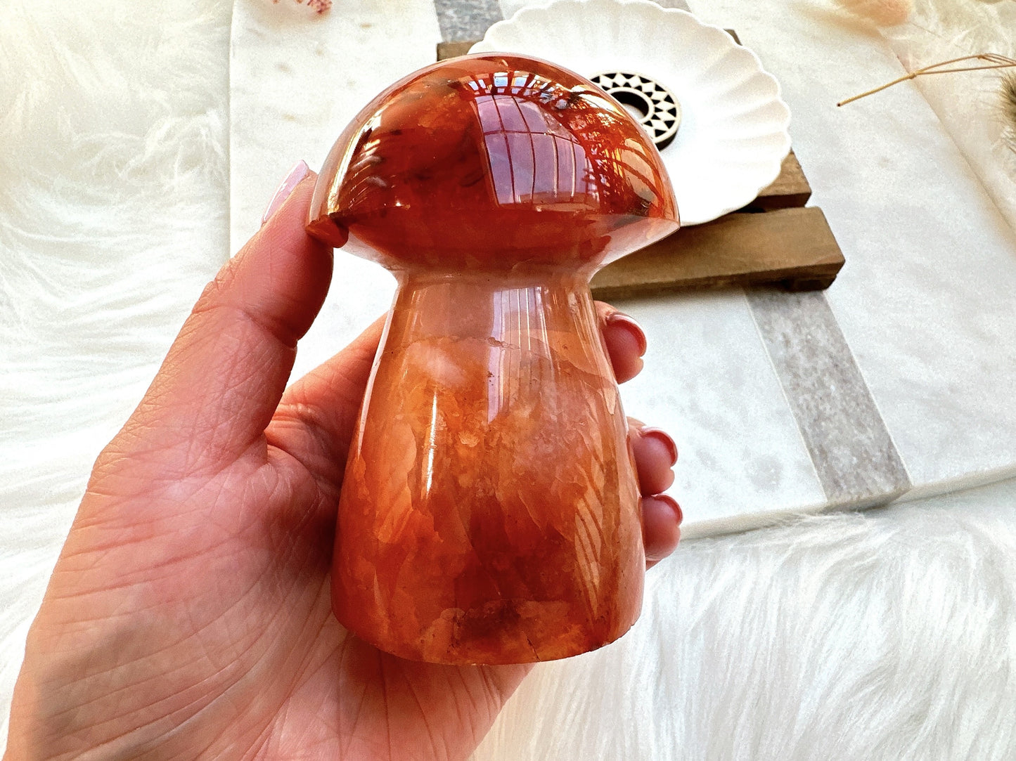 Carnelian Mushroom