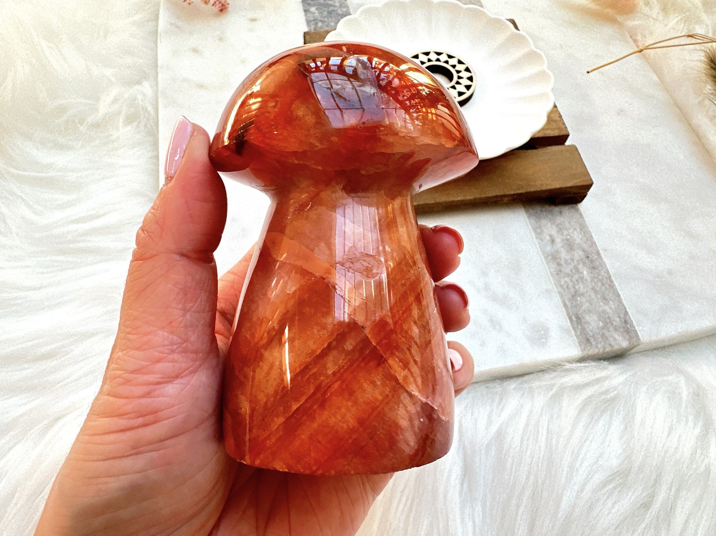 Carnelian Mushroom