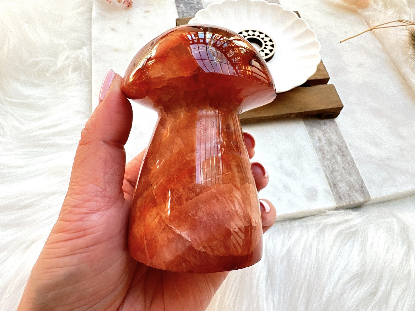 Carnelian Mushroom