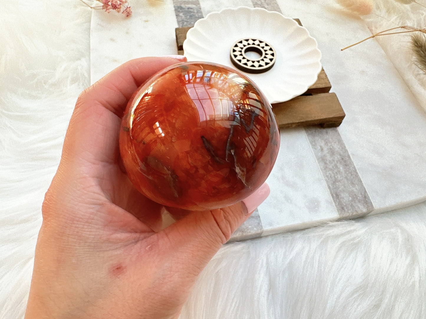 Carnelian Mushroom