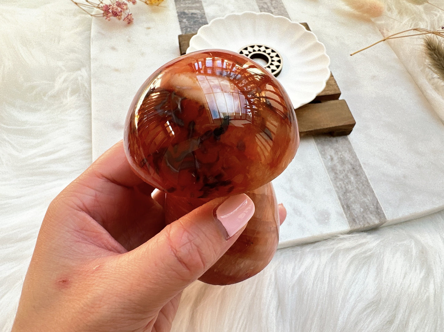 Carnelian Mushroom