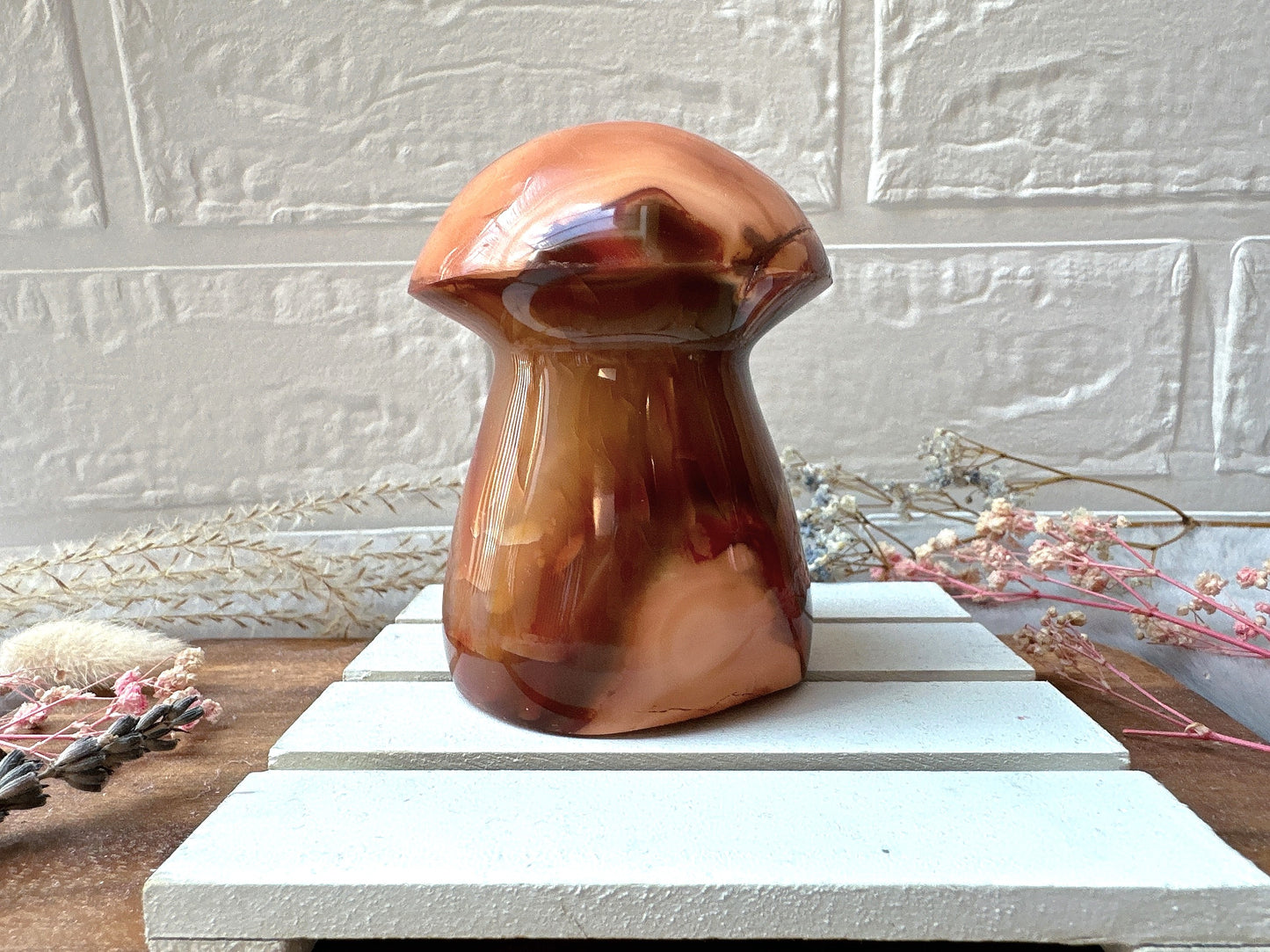 Carnelian Mushroom