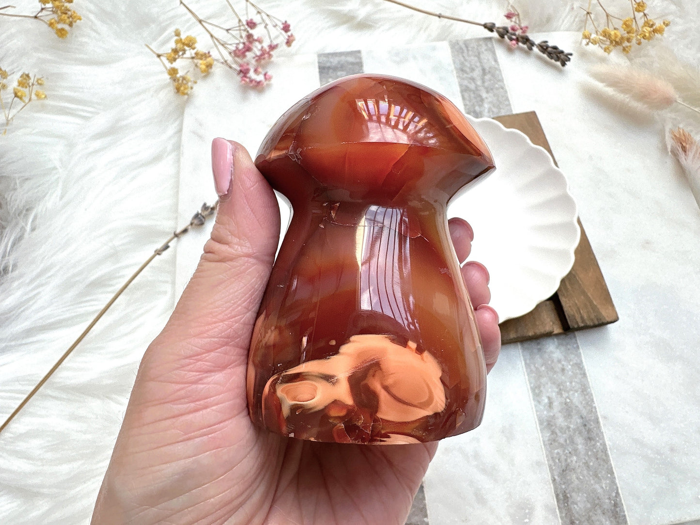 Carnelian Mushroom
