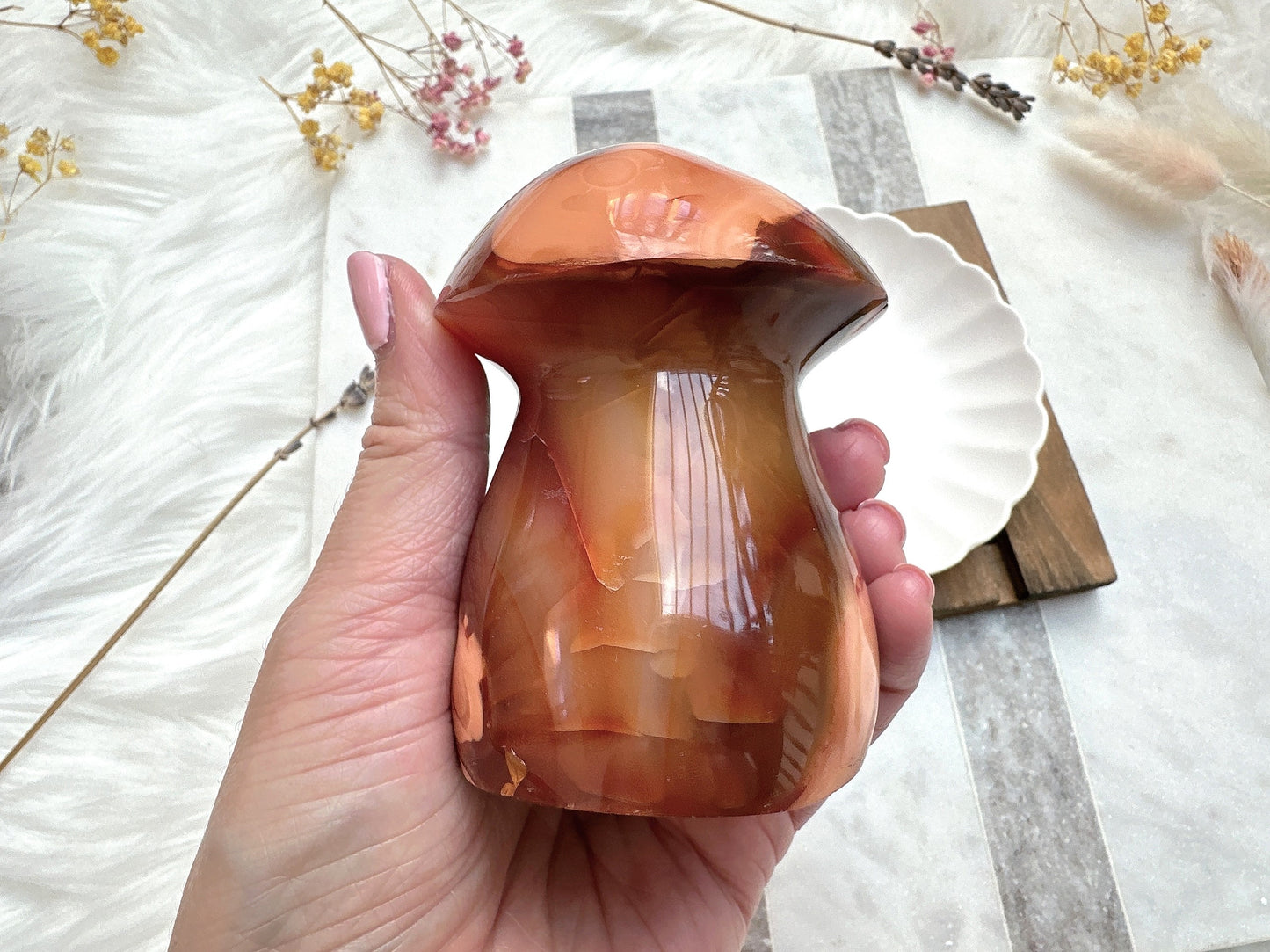 Carnelian Mushroom