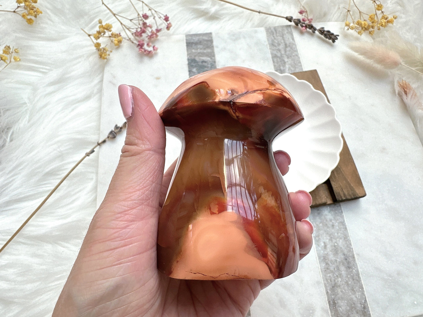 Carnelian Mushroom