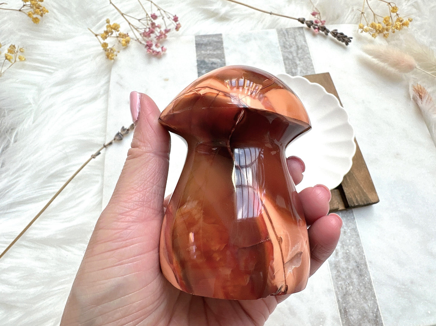 Carnelian Mushroom