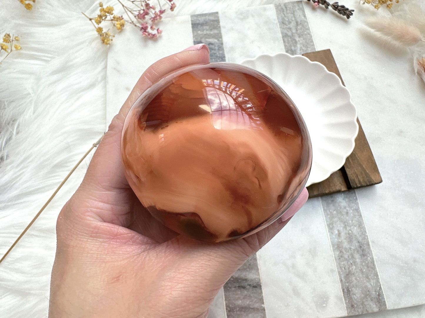 Carnelian Mushroom