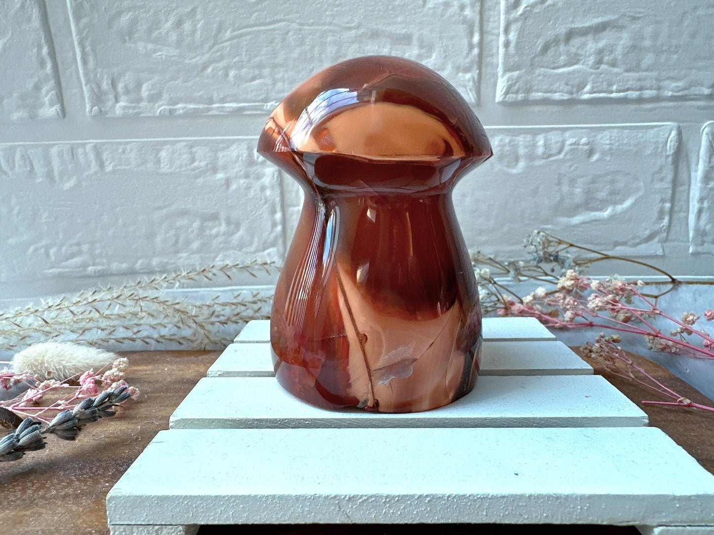 Carnelian Mushroom