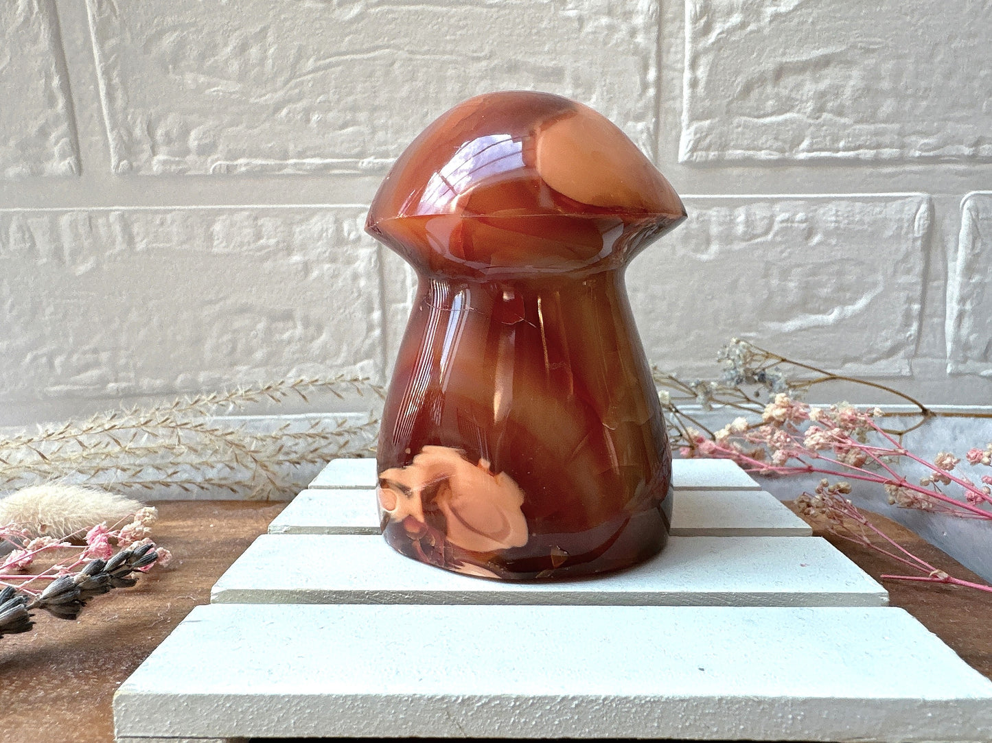 Carnelian Mushroom