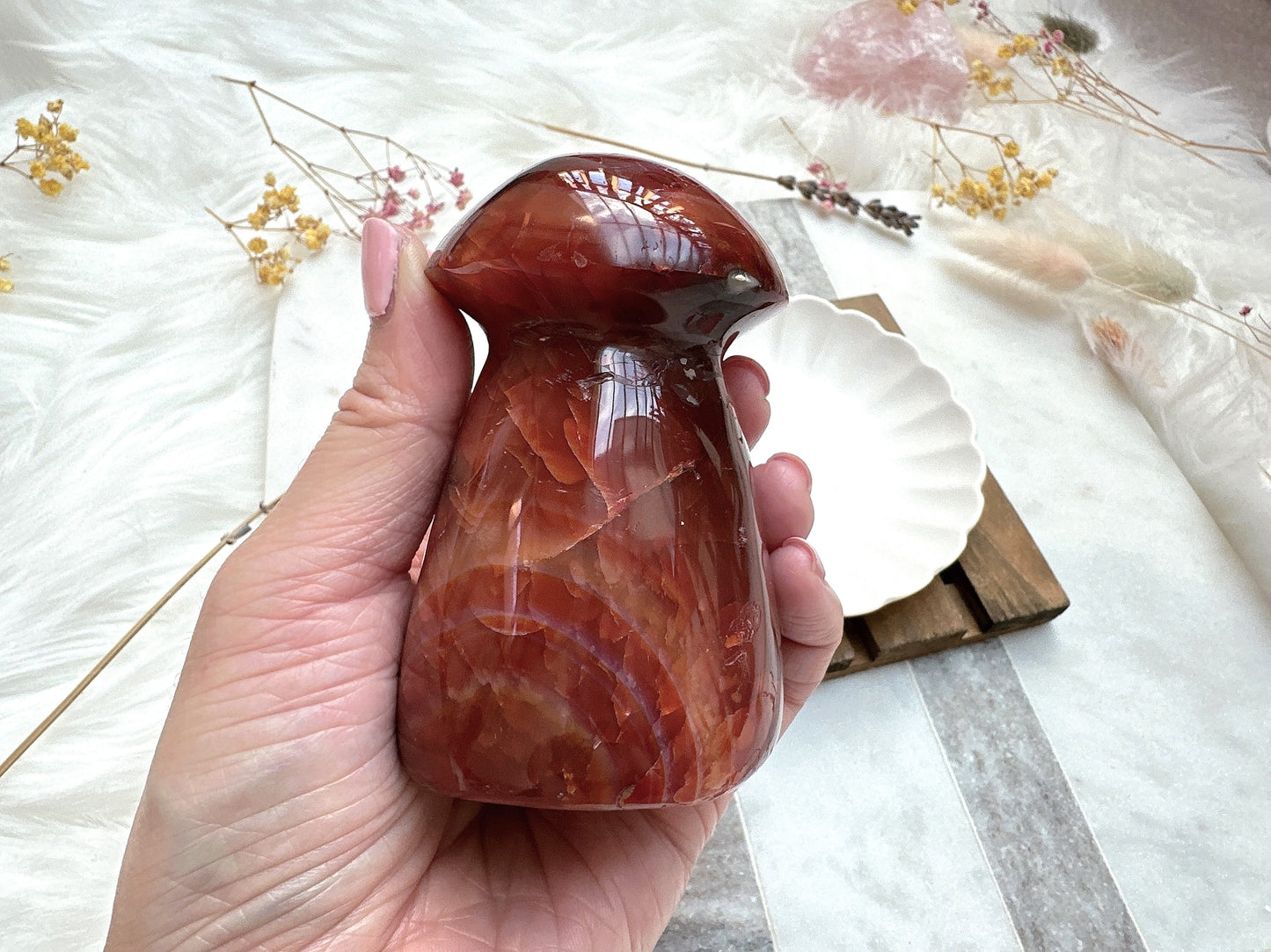 Carnelian Mushroom