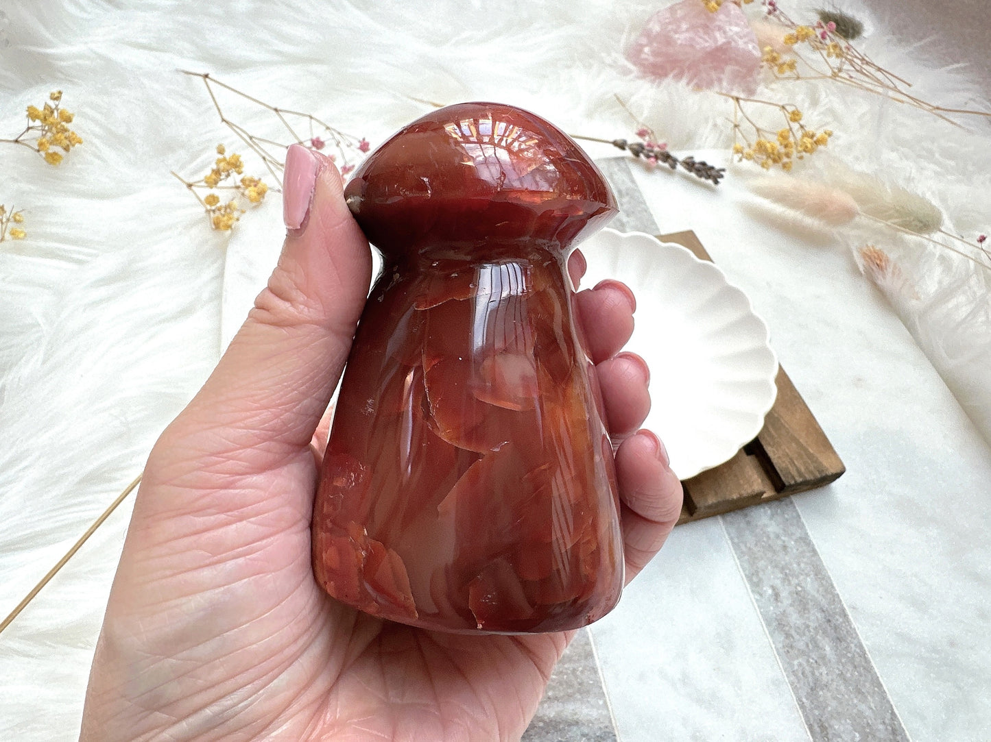 Carnelian Mushroom