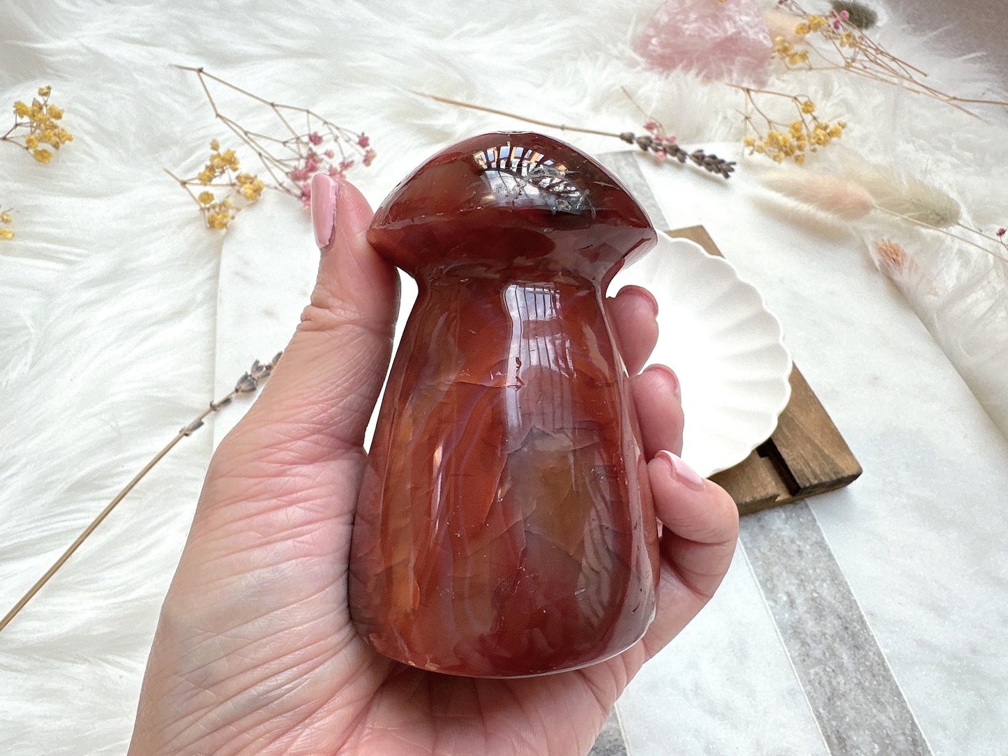 Carnelian Mushroom
