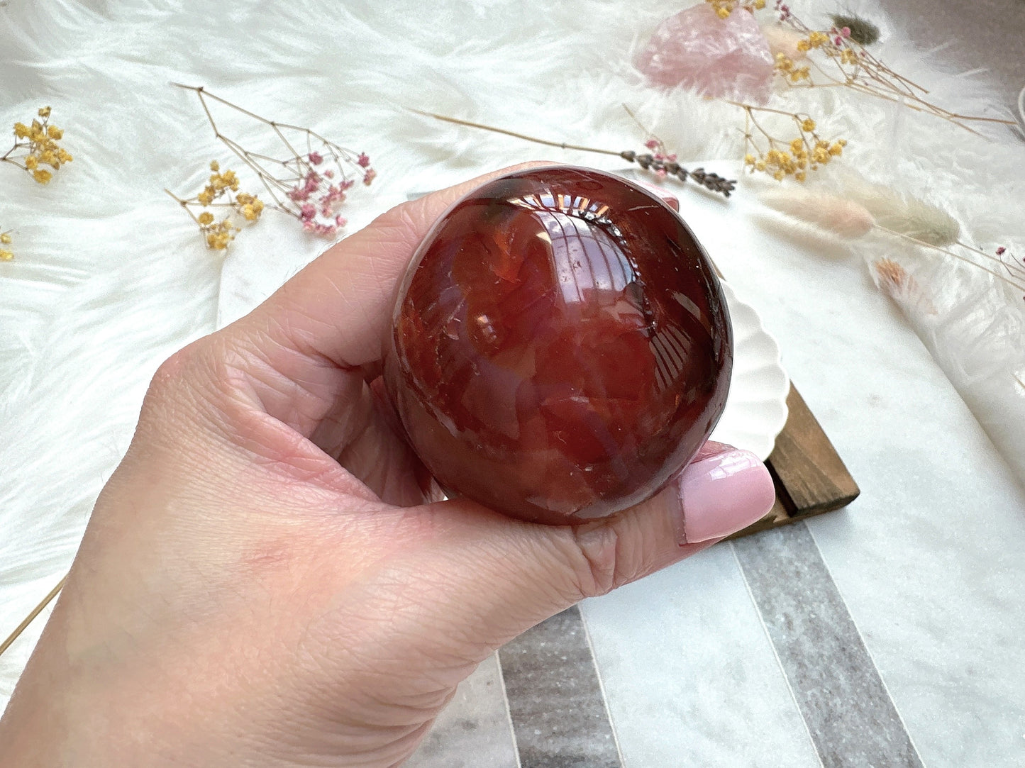 Carnelian Mushroom