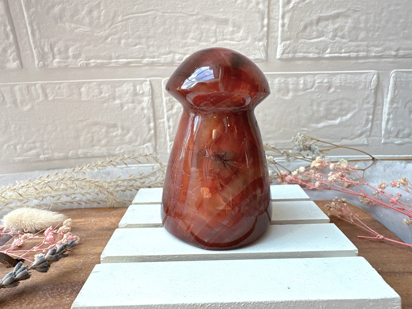 Carnelian Mushroom