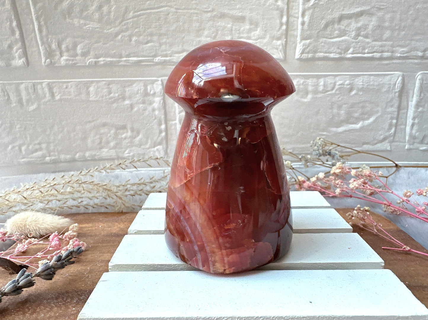 Carnelian Mushroom