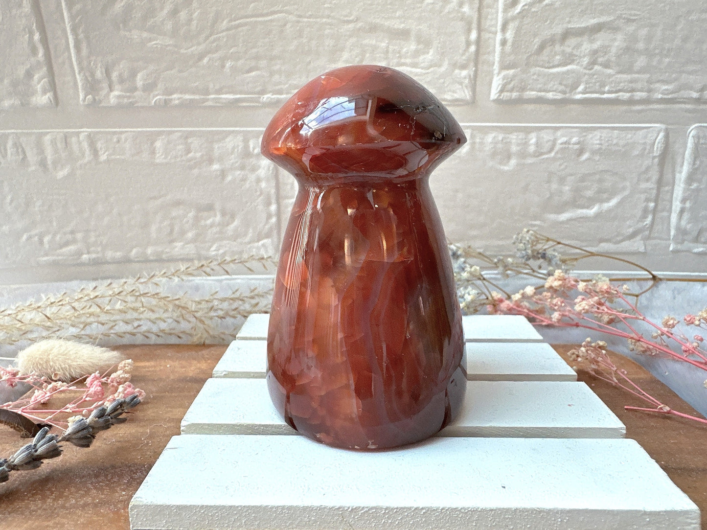 Carnelian Mushroom