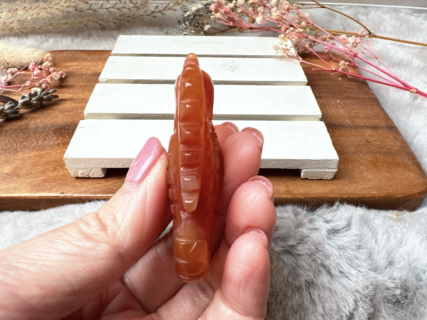 Small Carnelian Seahorse