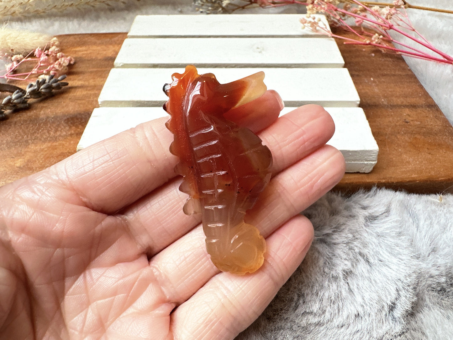 Small Carnelian Seahorse