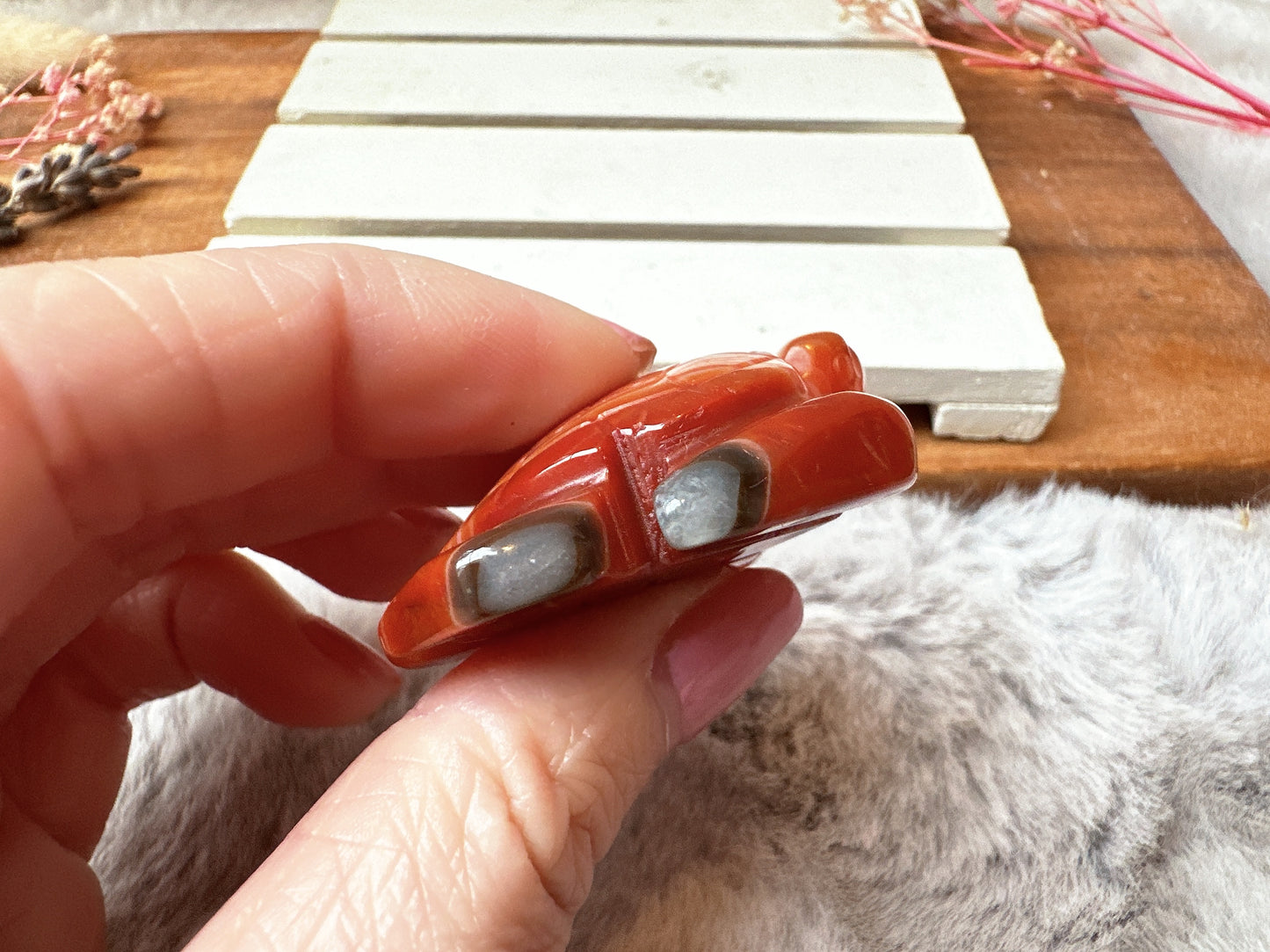 Small Carnelian Sea Turtle