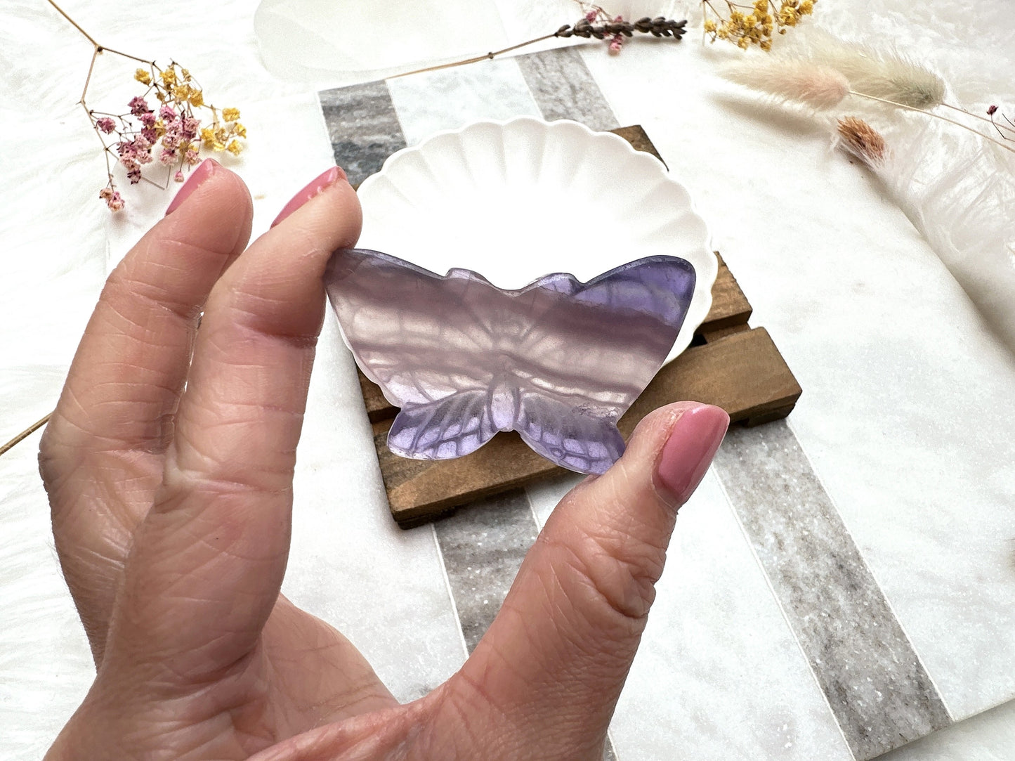 Small Fluorite Butterfly