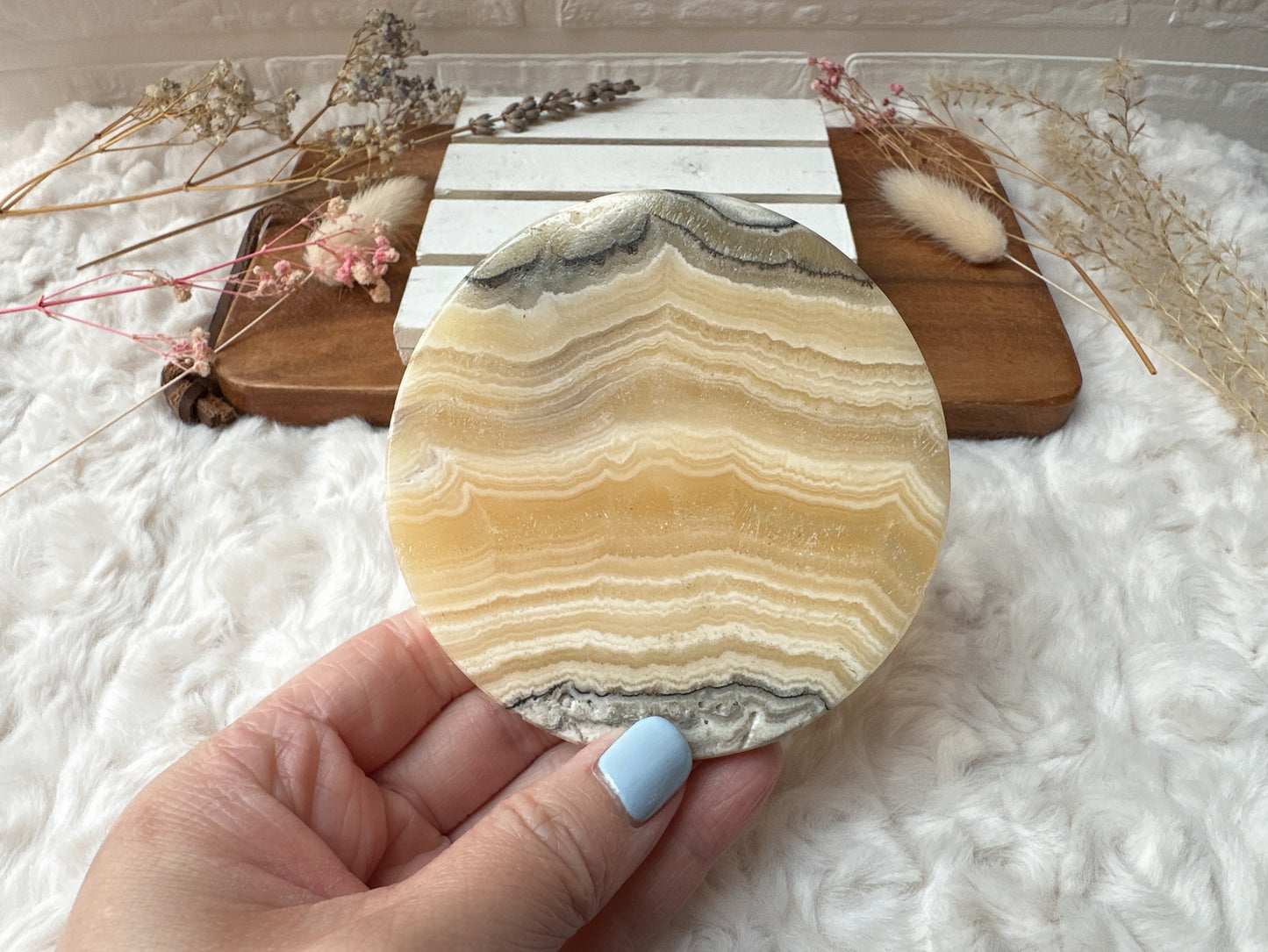 Zebra Onyx Round Slice