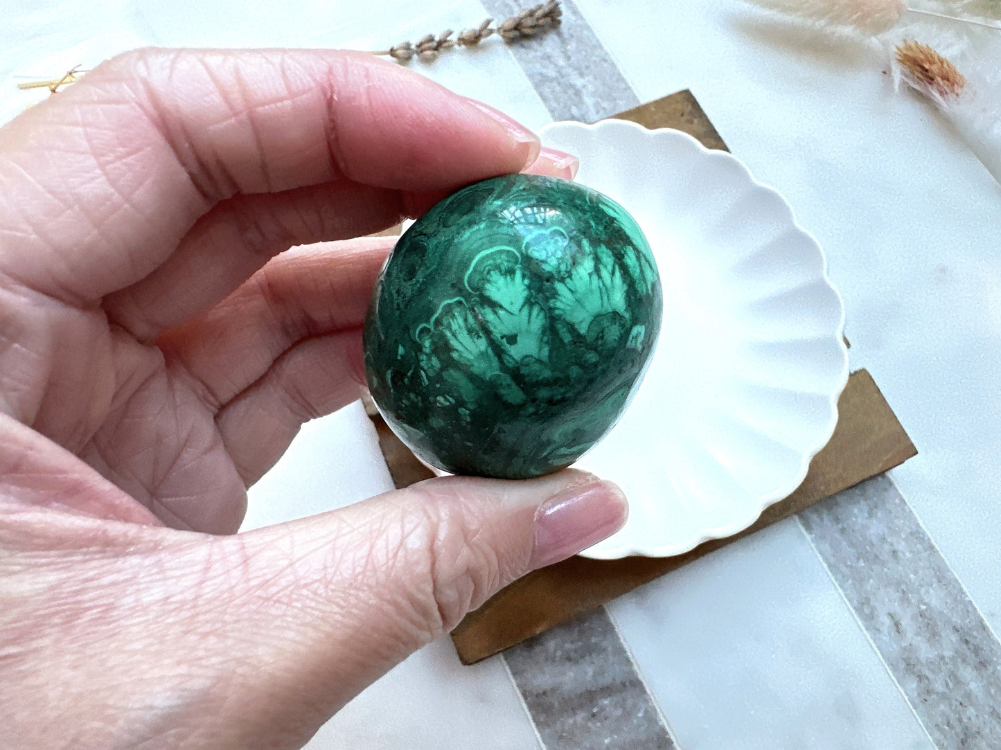 Small Malachite Egg