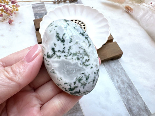 Moss Agate Palm Stone