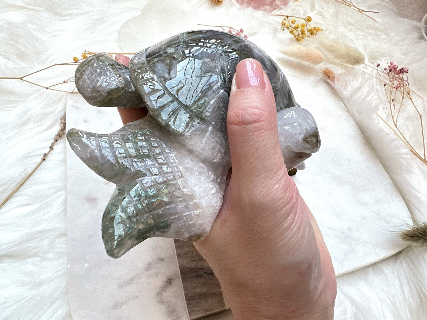 Large Moss Agate Turtle