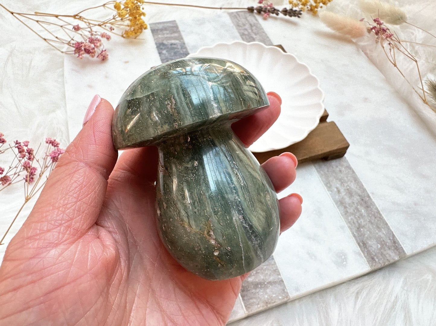 Sea Jasper Mushroom