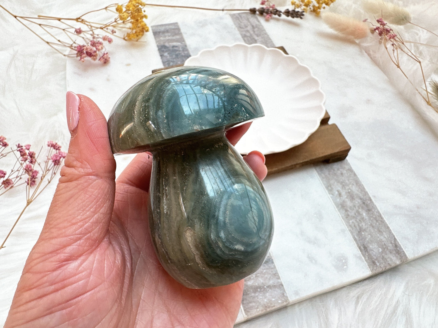 Sea Jasper Mushroom