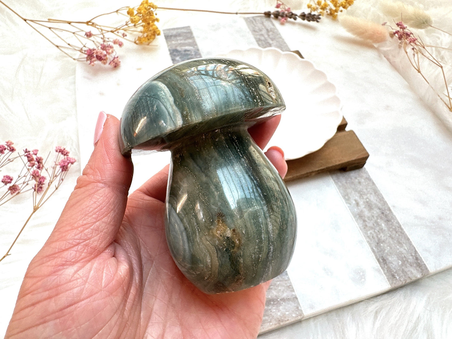 Sea Jasper Mushroom
