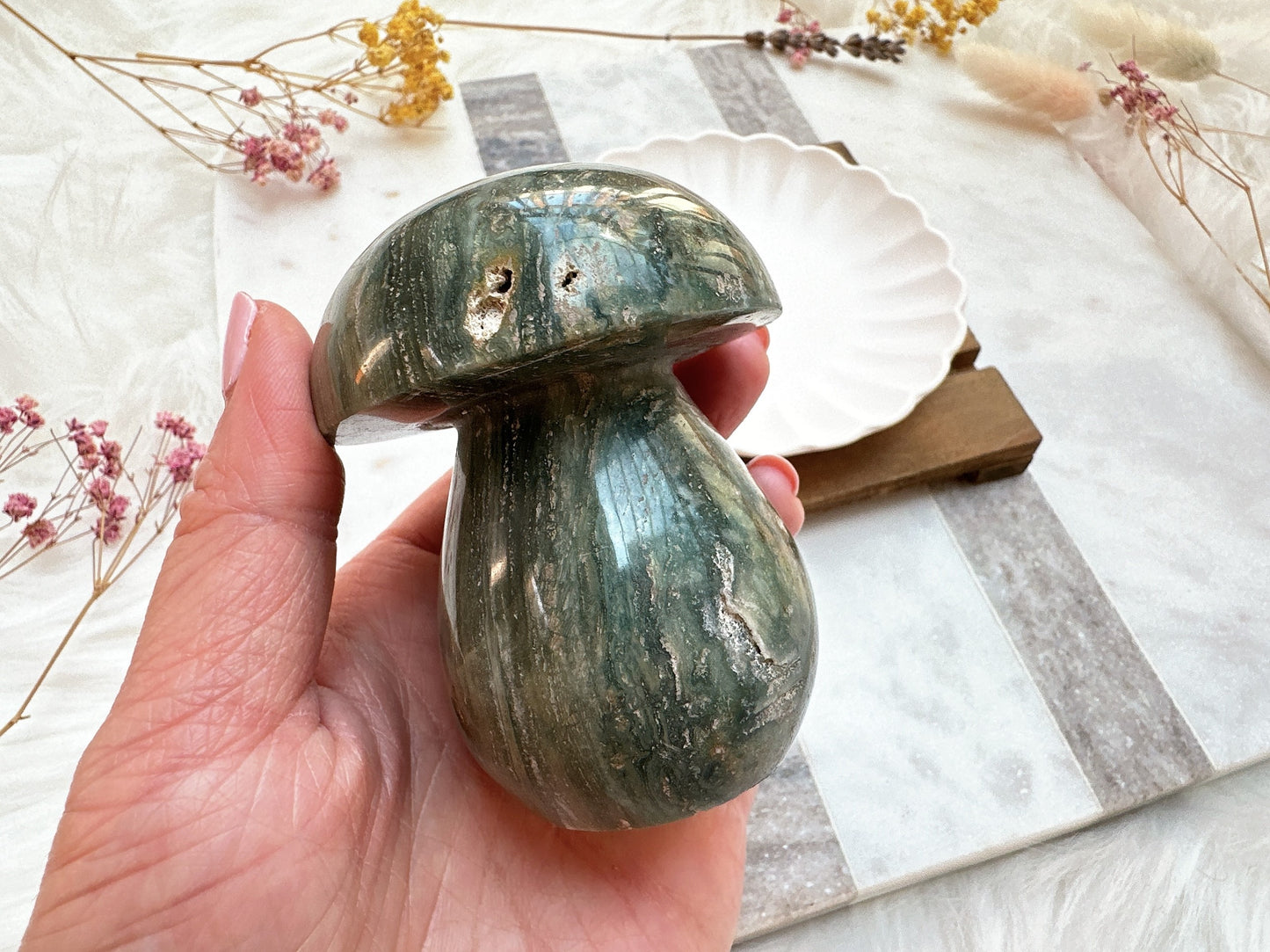 Sea Jasper Mushroom