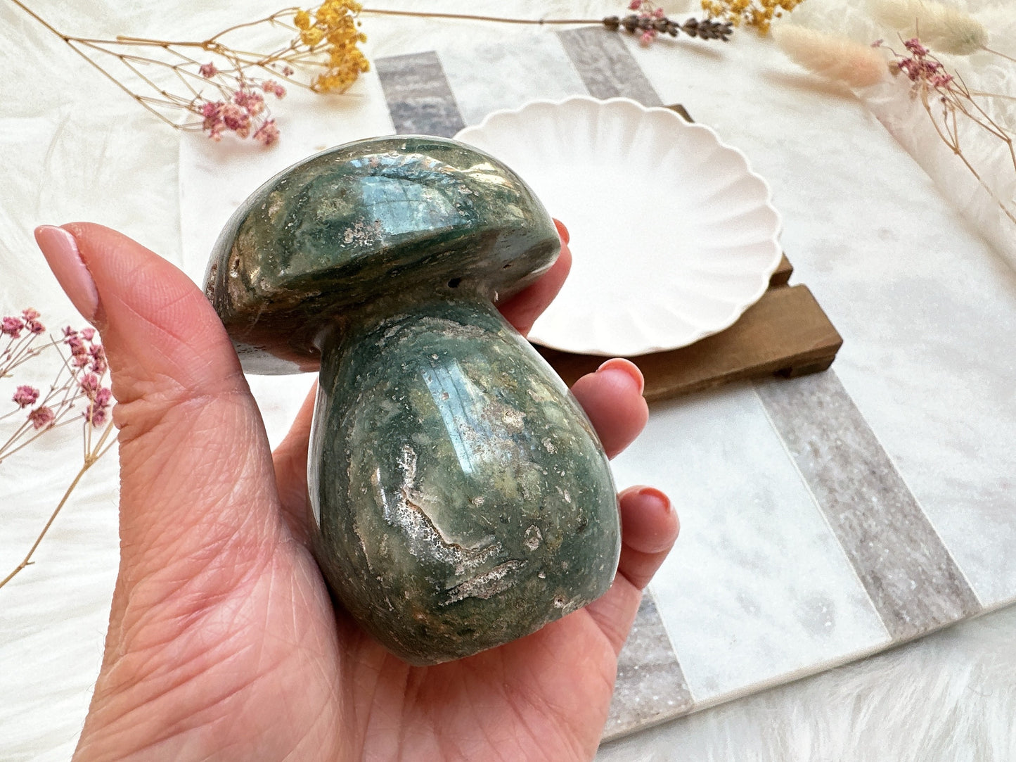 Sea Jasper Mushroom