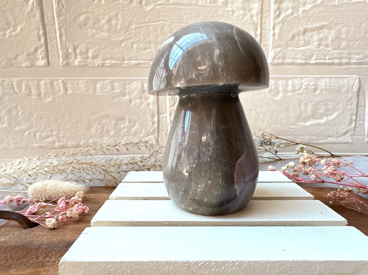 Sea Jasper Mushroom