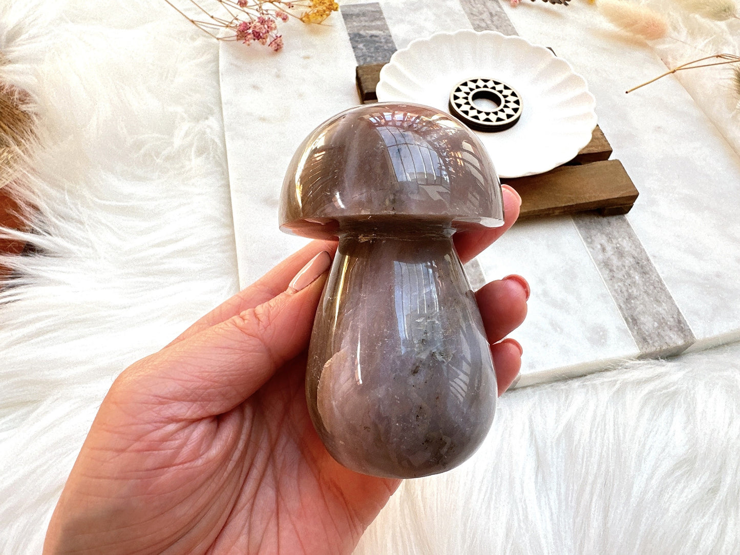 Sea Jasper Mushroom
