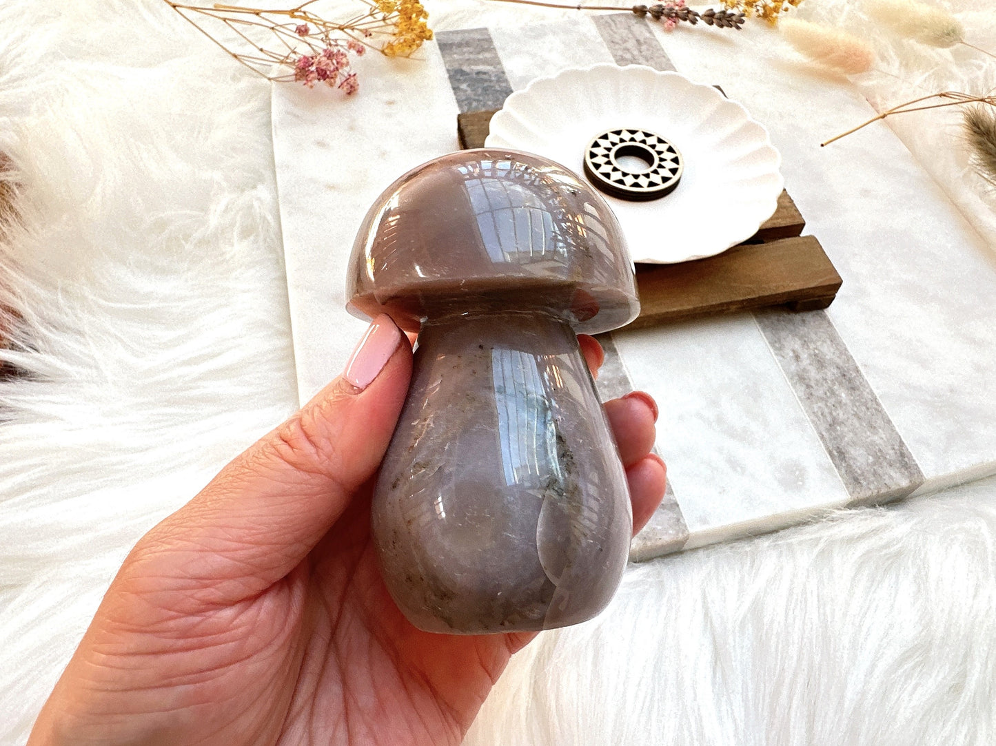 Sea Jasper Mushroom