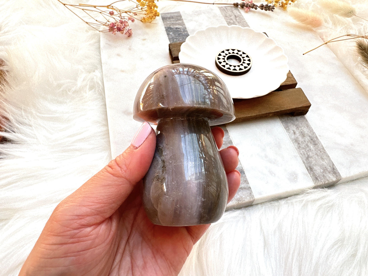 Sea Jasper Mushroom