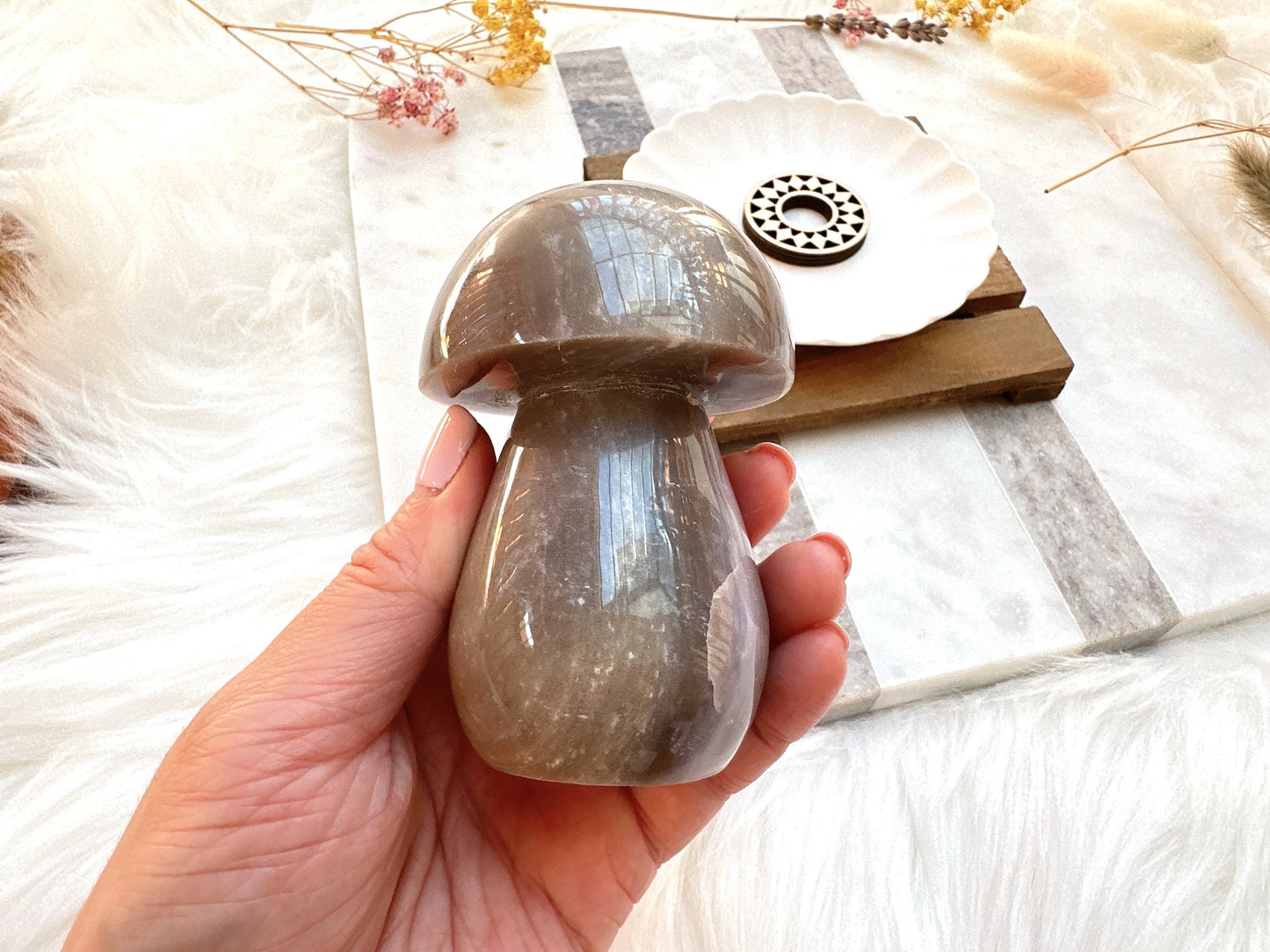 Sea Jasper Mushroom