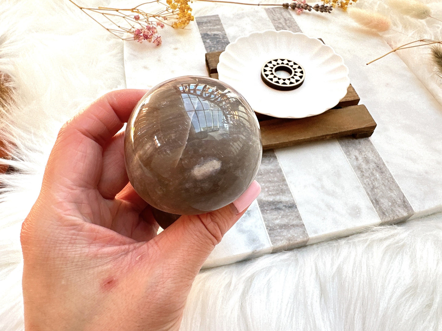 Sea Jasper Mushroom
