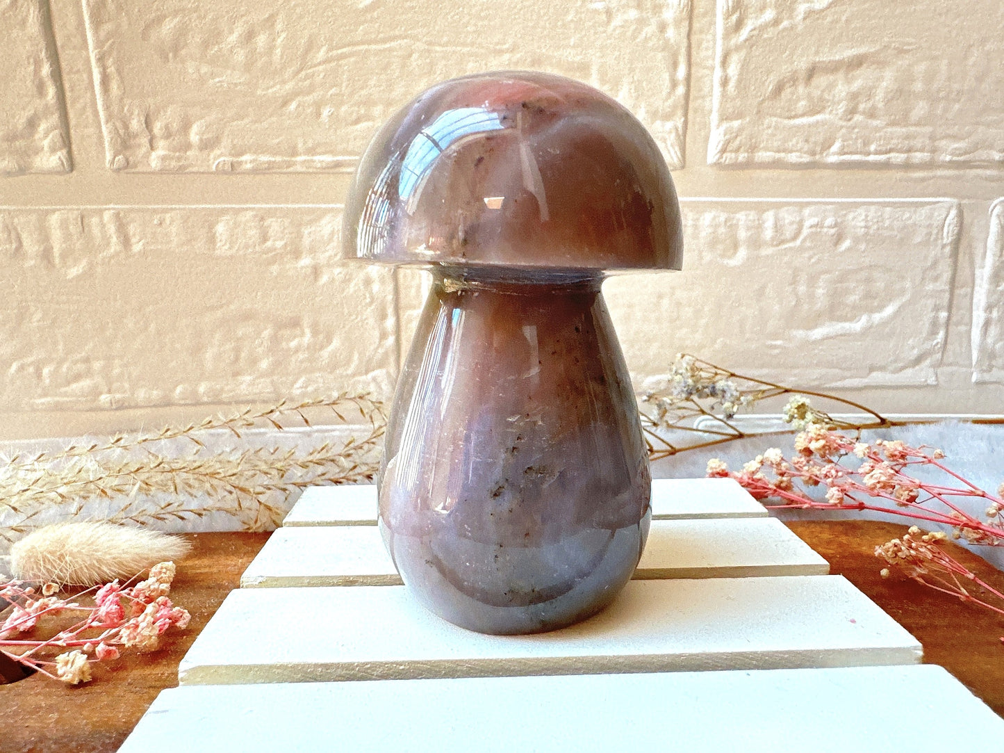 Sea Jasper Mushroom
