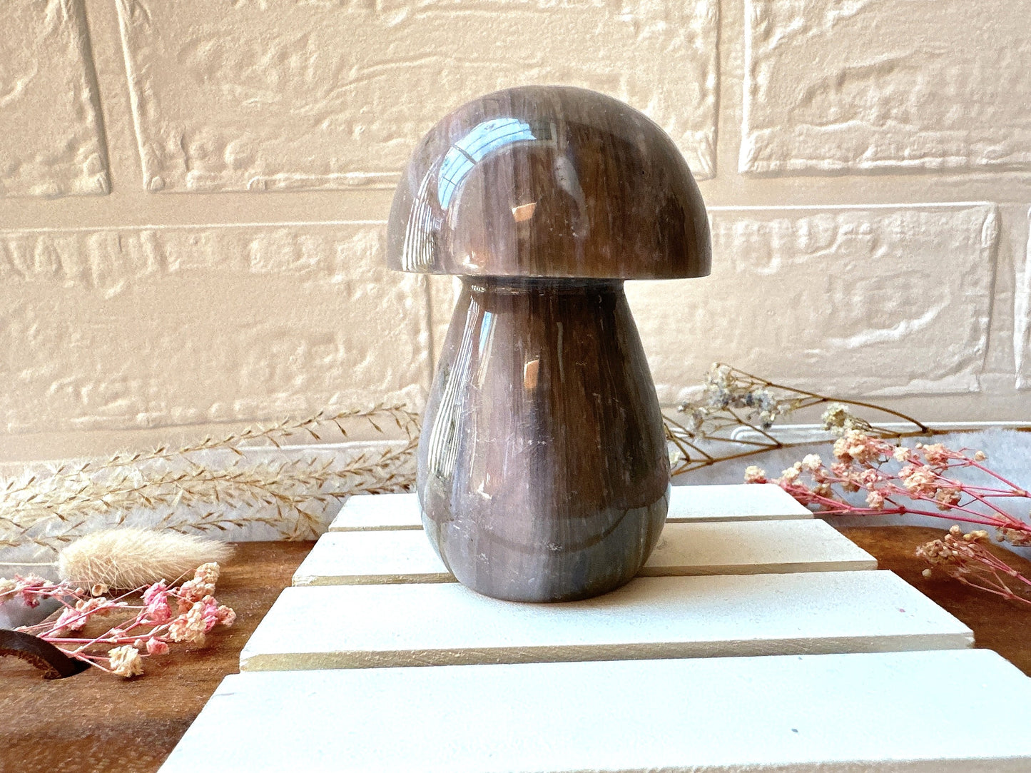 Sea Jasper Mushroom
