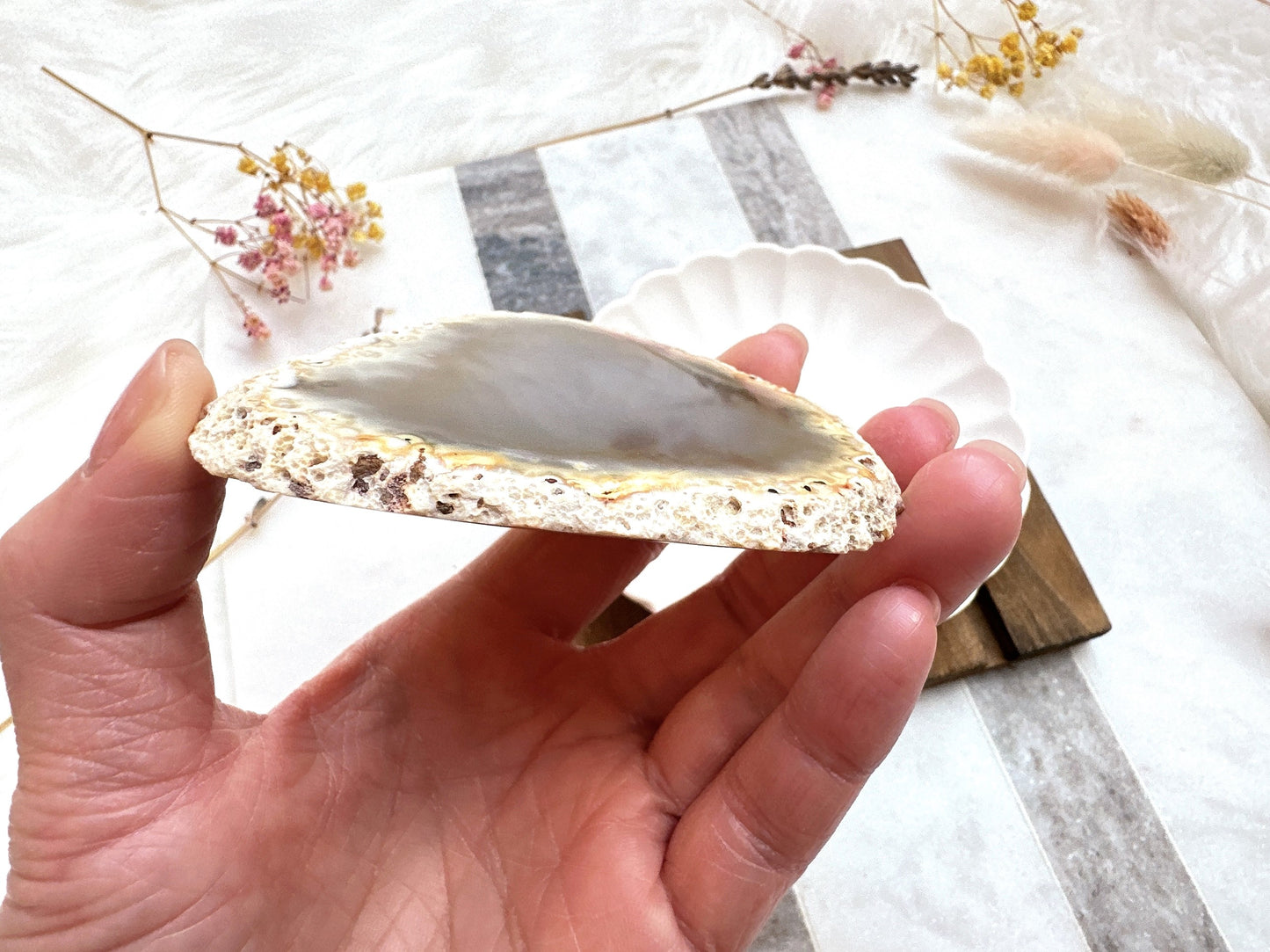 Agate Slice