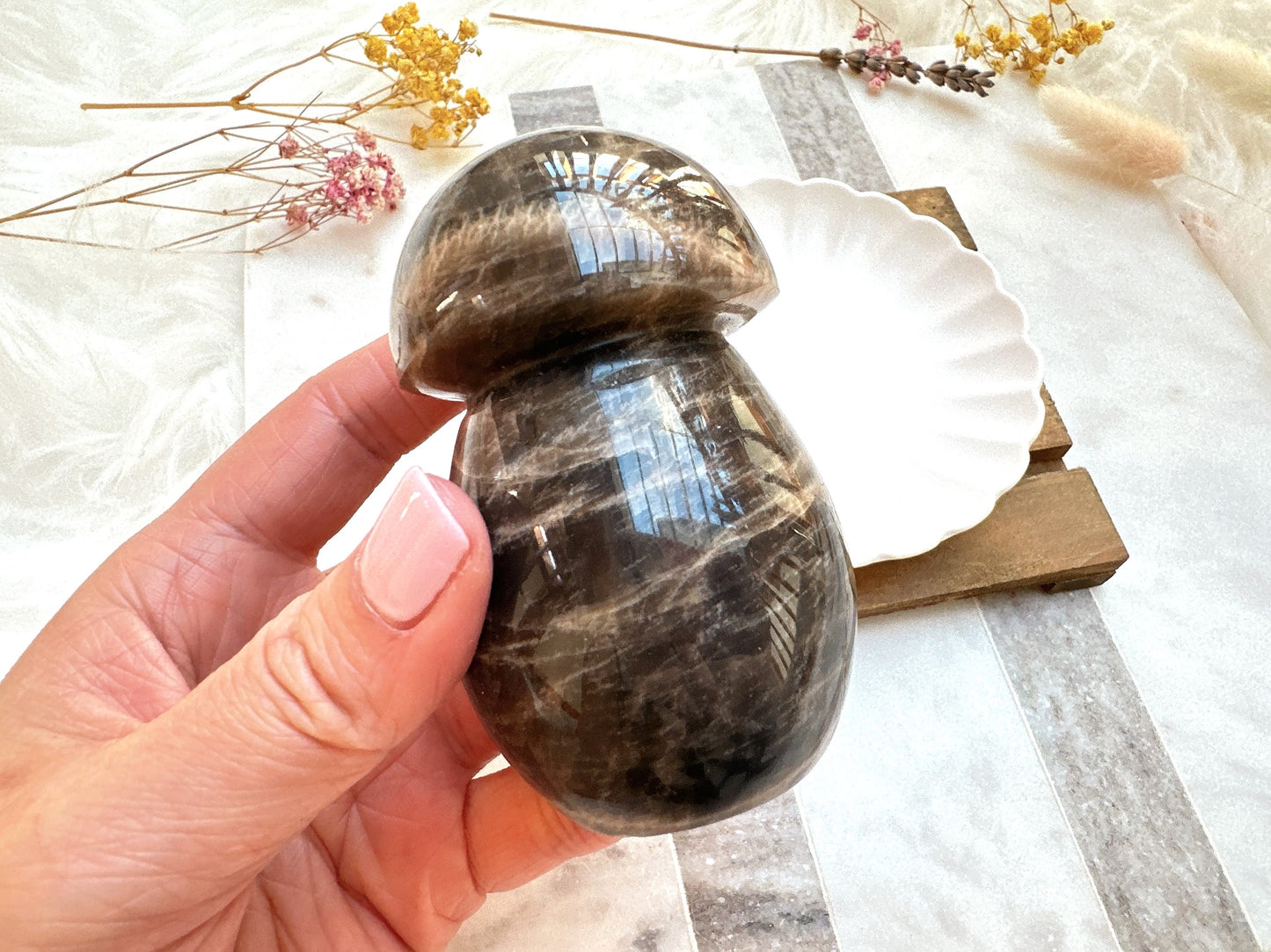 Black Moonstone Mushroom
