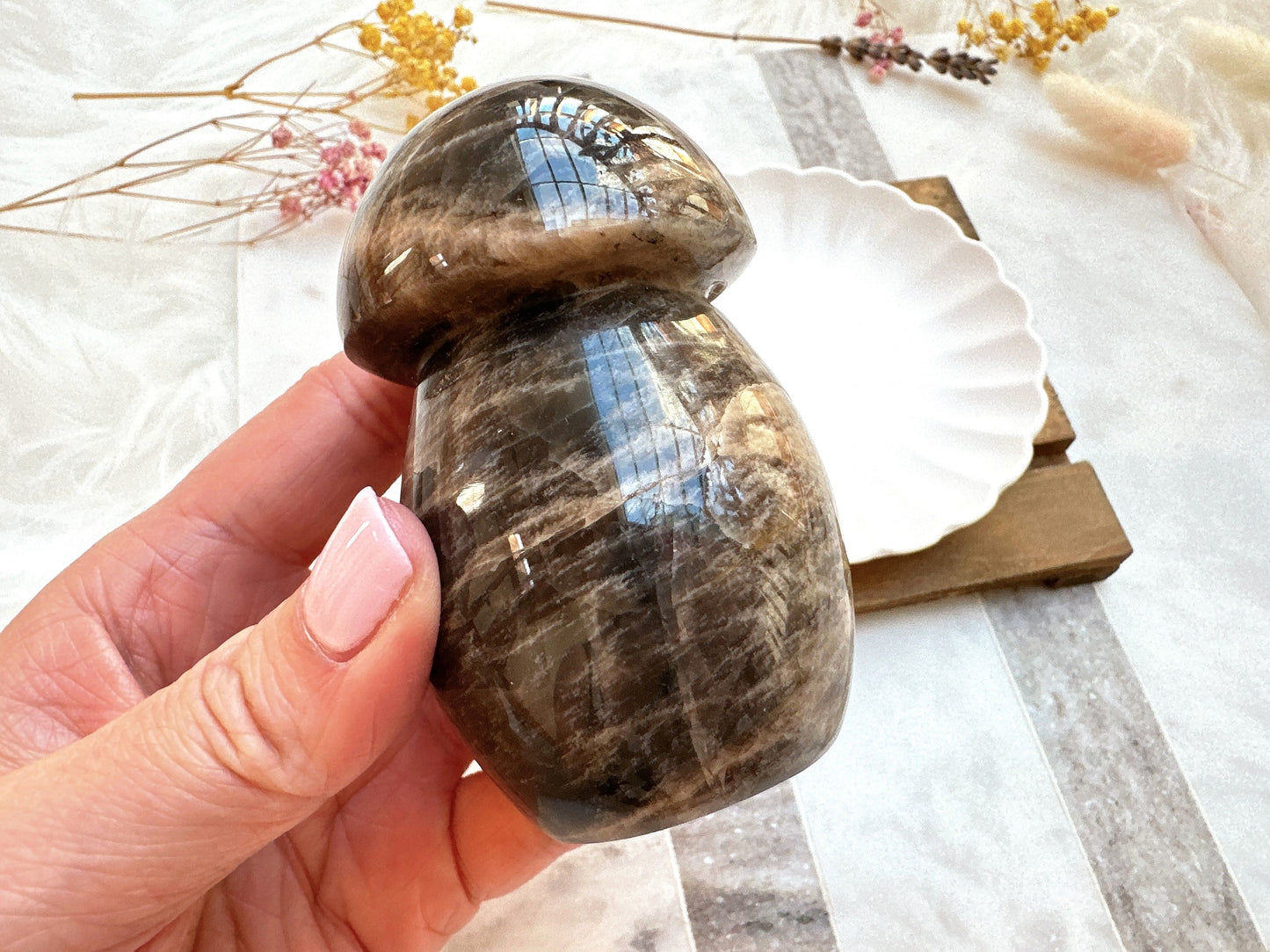 Black Moonstone Mushroom