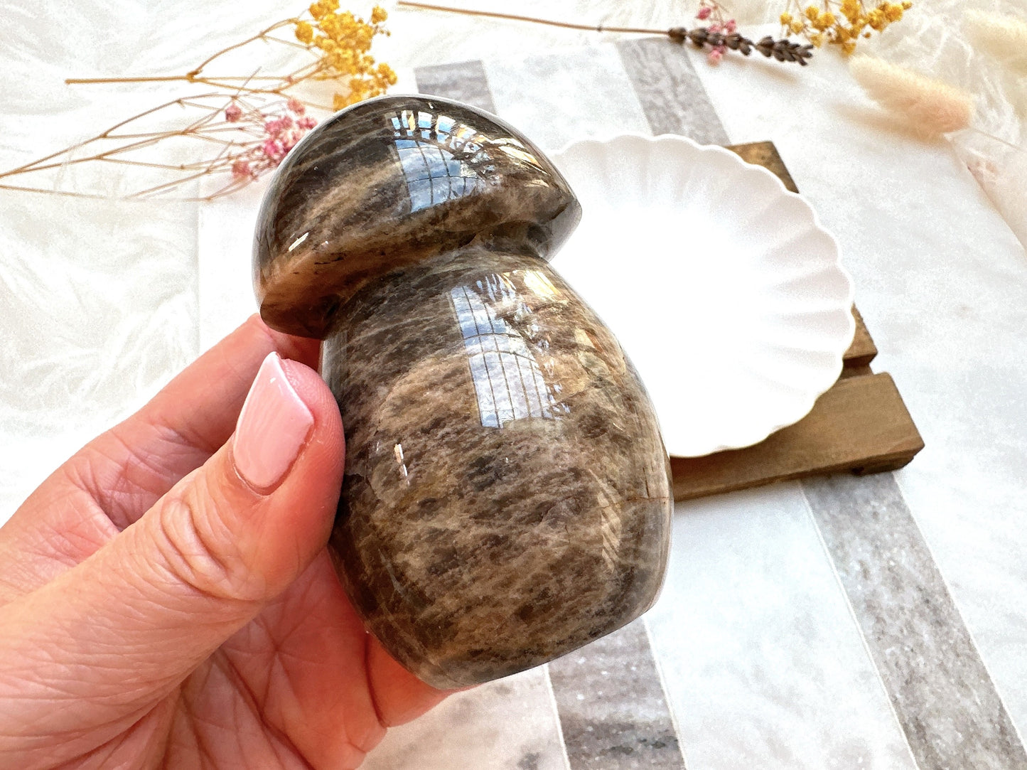 Black Moonstone Mushroom