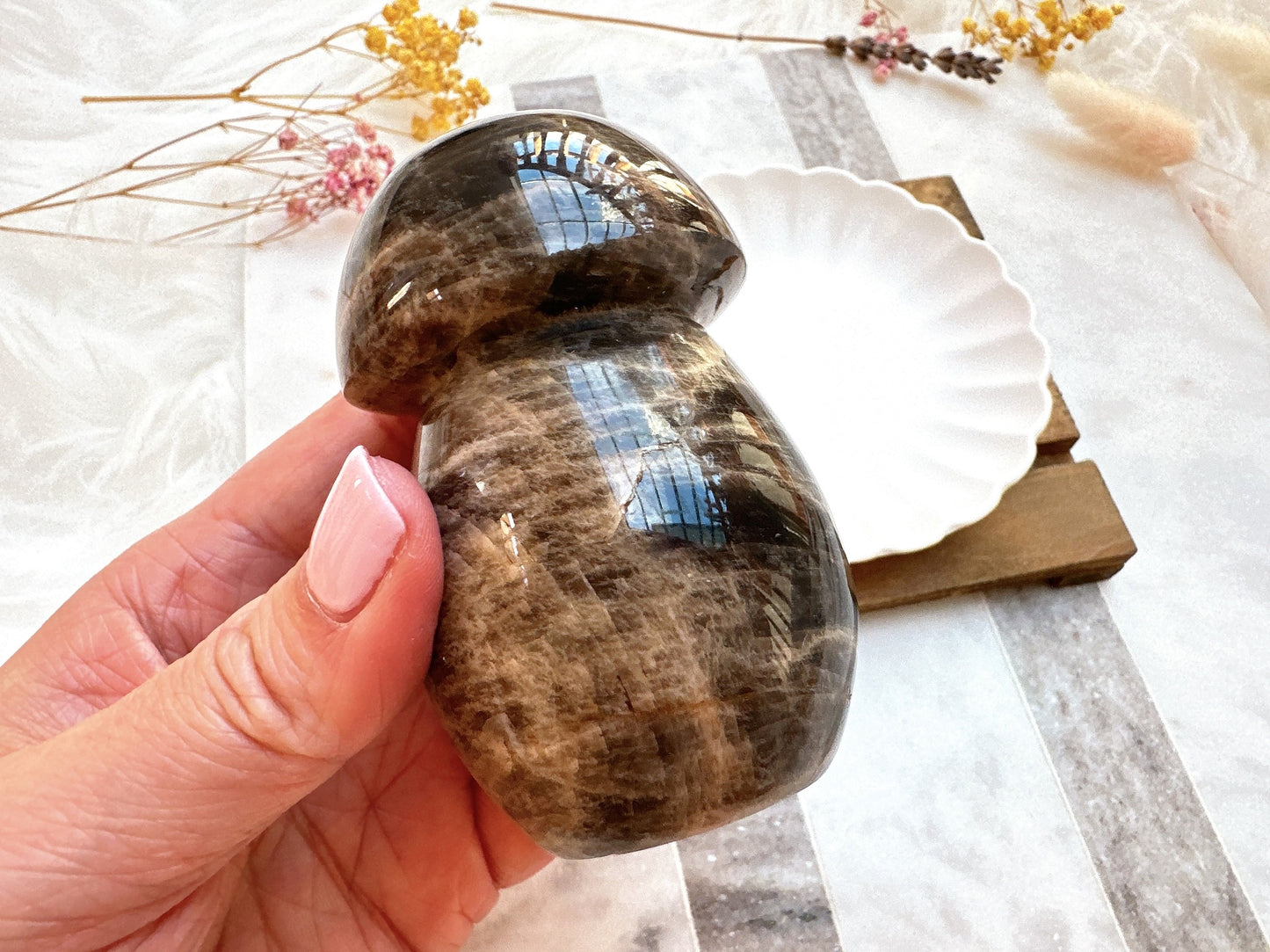 Black Moonstone Mushroom